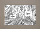 Grasshopper Dissection Pencil on Paper(2010)