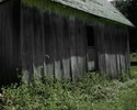 Shed in Kentland