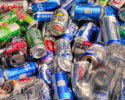 Earl Park Recycling Bin